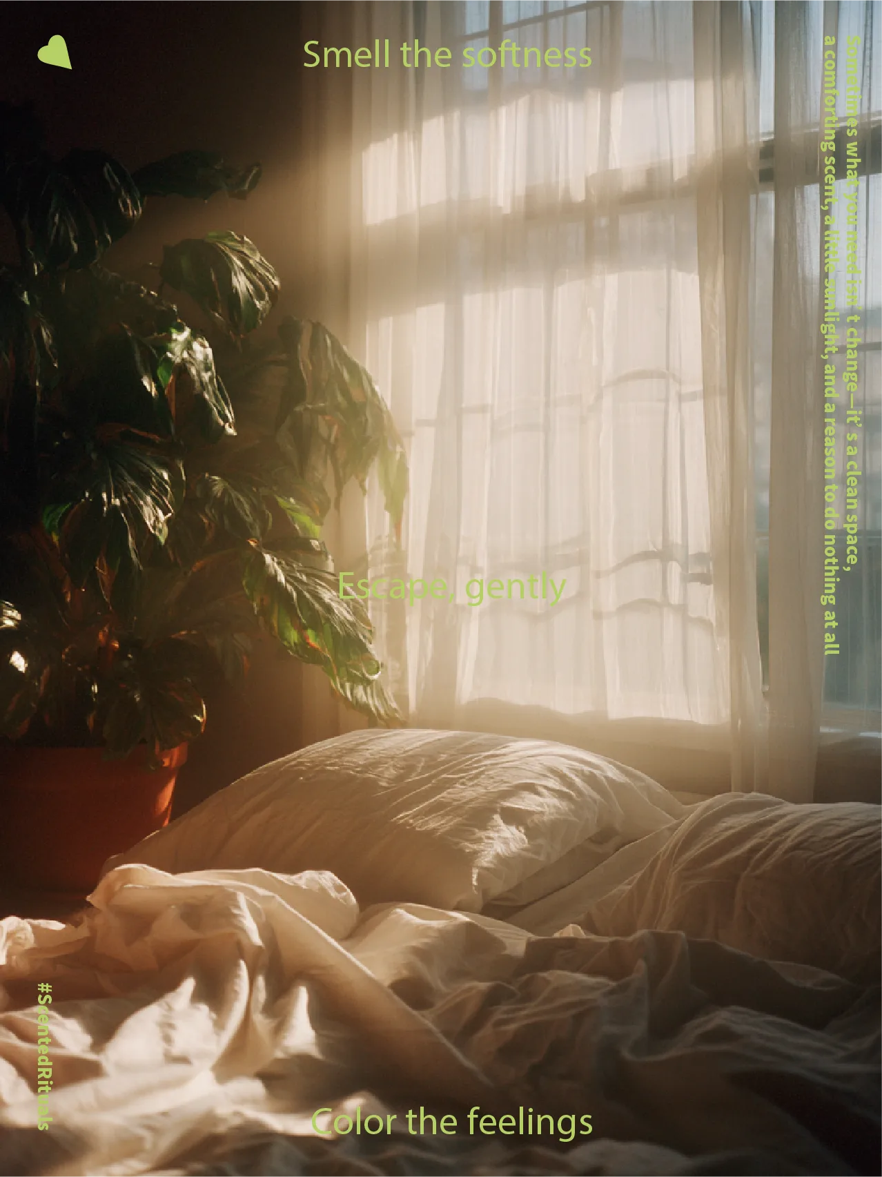 柔光慢活場景 作品集 - 第 11 張